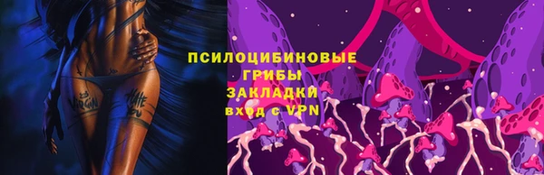 твердый Ладушкин