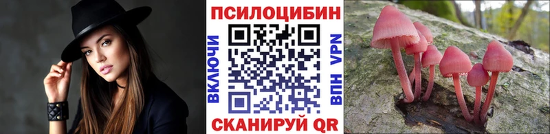 Купить  Черкесск  Галлюциногенные грибы MAGIC MUSHROOMS 